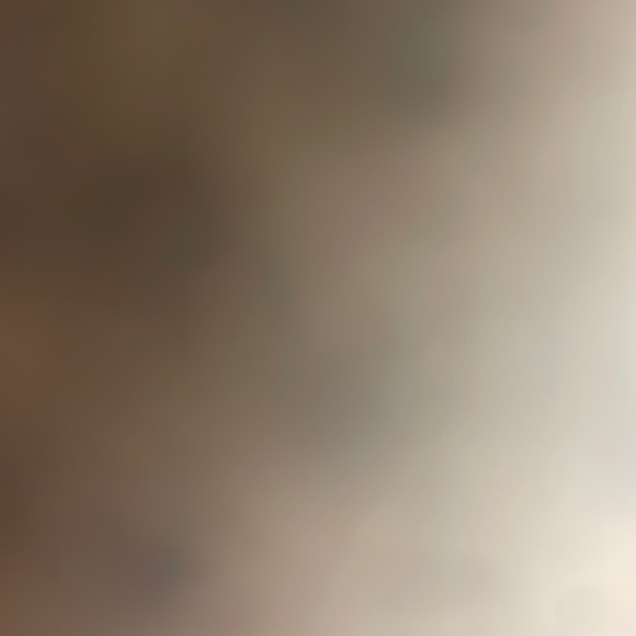 Meet your Posher, Ronan - Picture 1 of 1